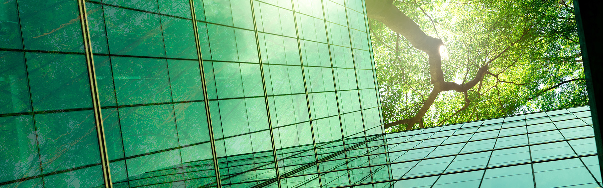 不動產開發與都市更新